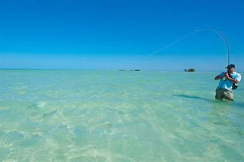 Grand Slam Fishing Tulum Hotel 4*